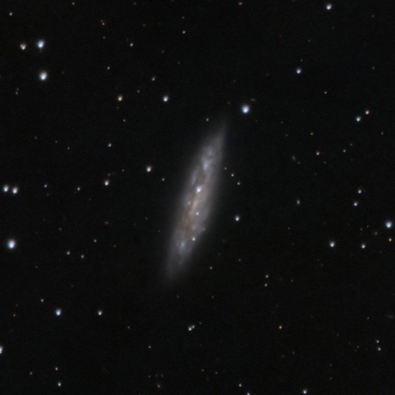Nébuleuse du Hibou et galaxie M 108