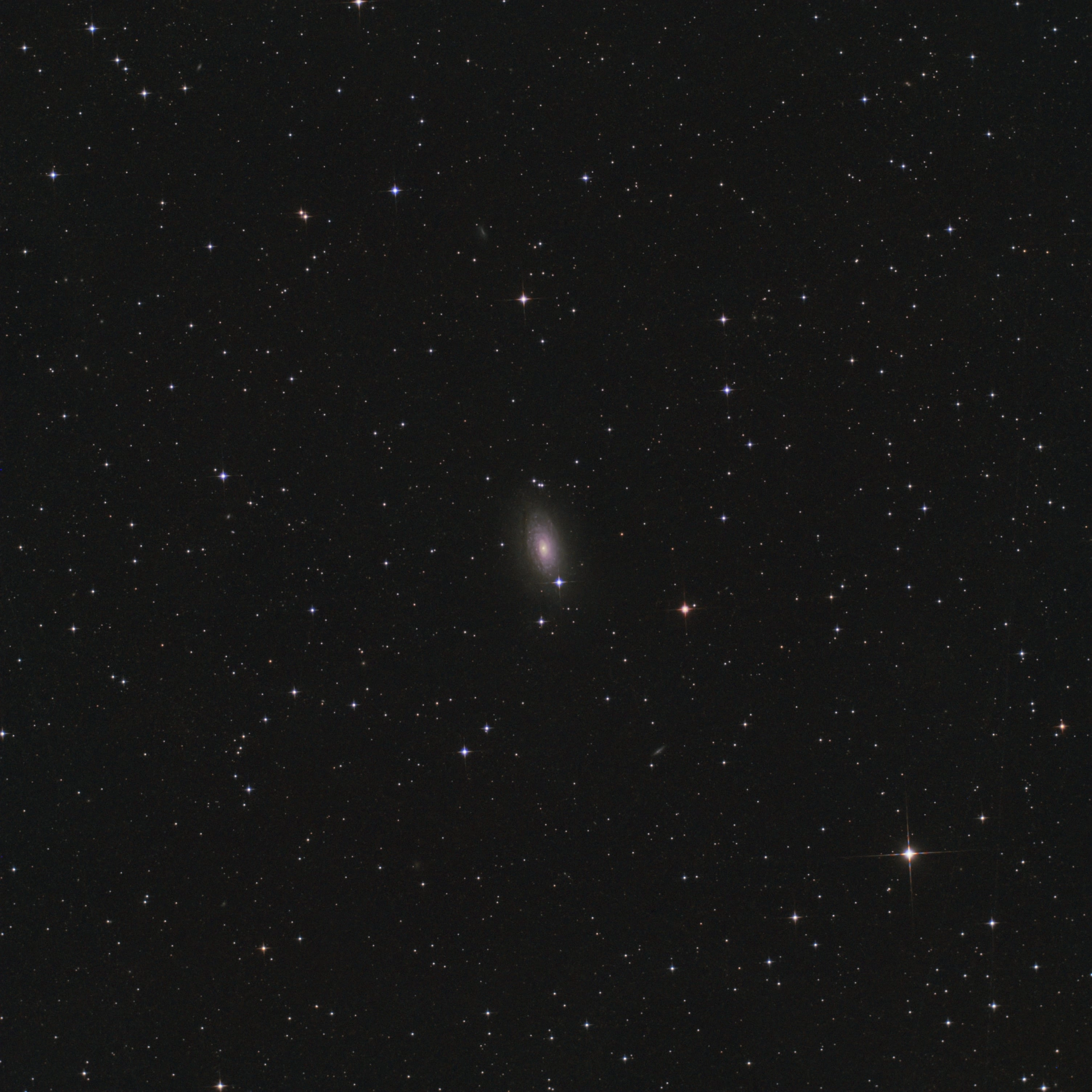 Galaxie du Tournesol