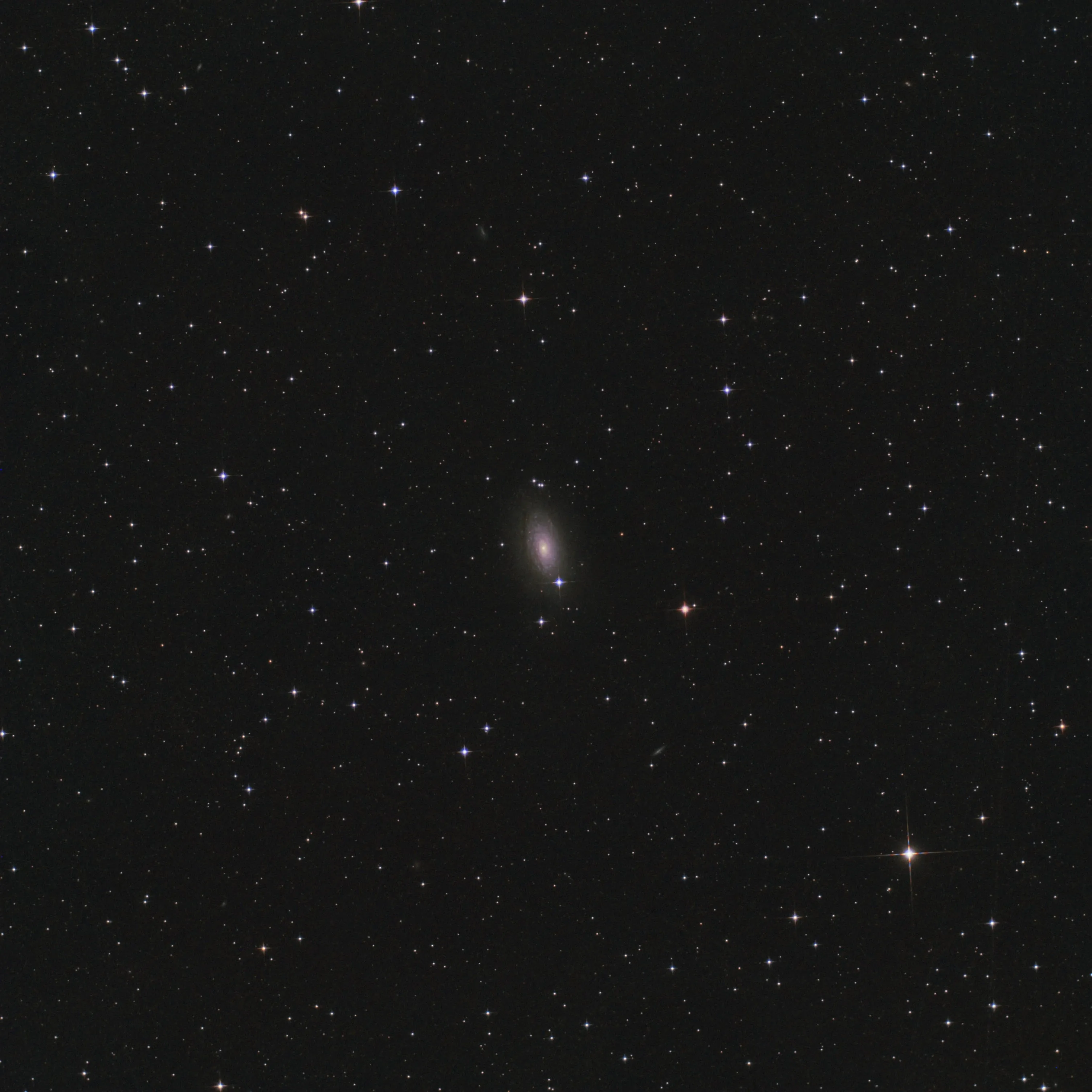 Galaxie du Tournesol