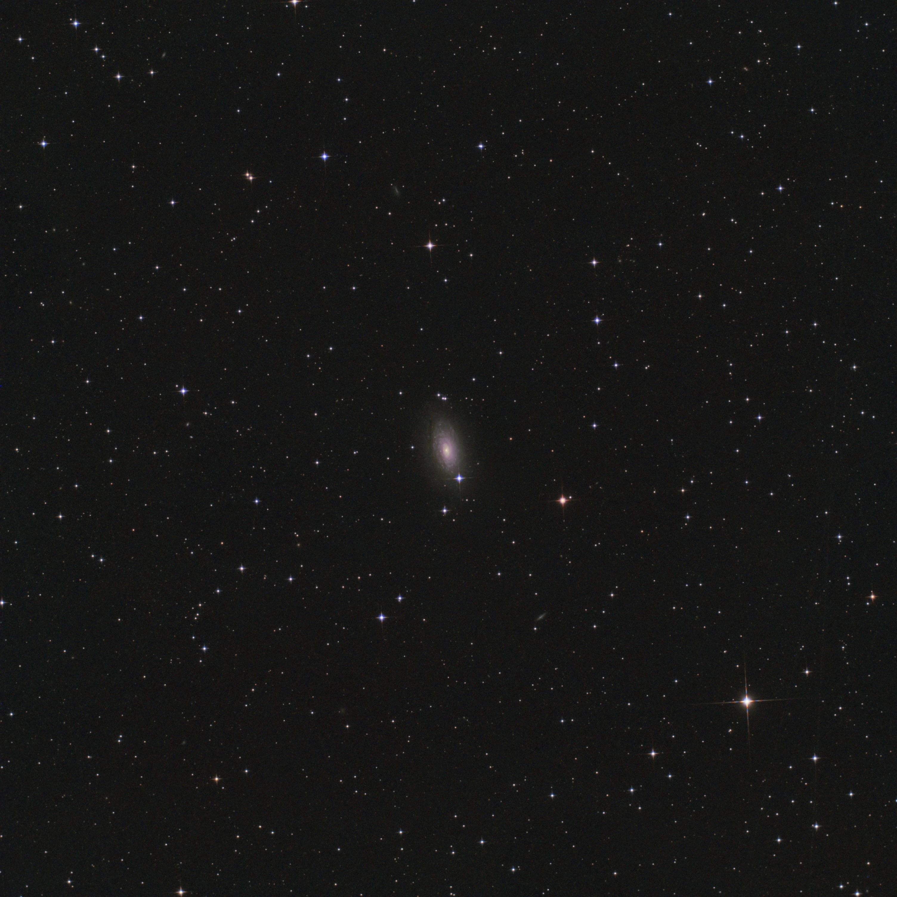 Galaxie du Tournesol